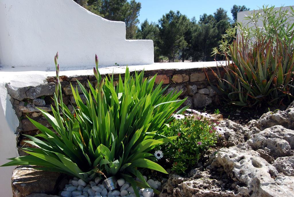 Villa La Roca - A Fusion Of Modern And Typical Andalucian Architecture Montecorto Exteriér fotografie